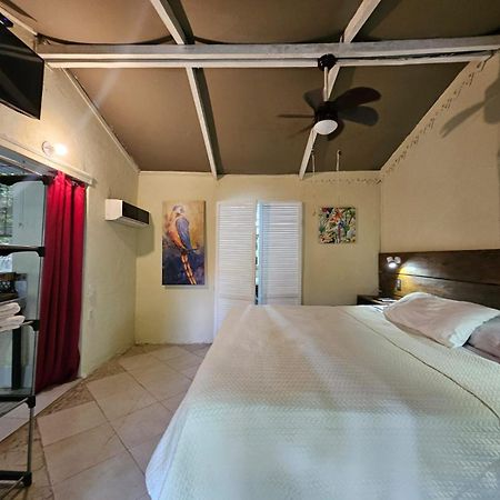 Chez Nous Daire Puerto Carrillo Dış mekan fotoğraf