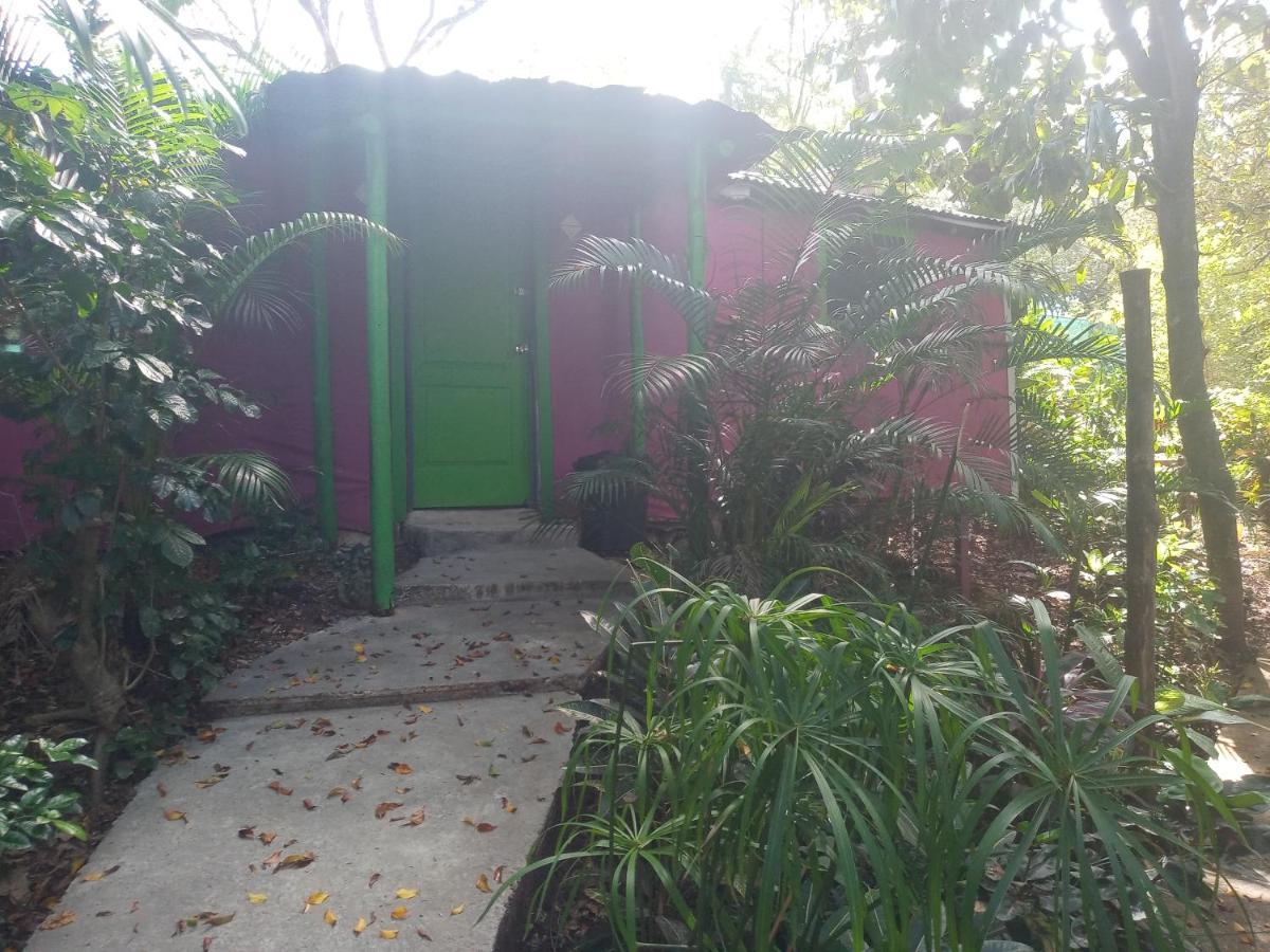 Chez Nous Daire Puerto Carrillo Dış mekan fotoğraf